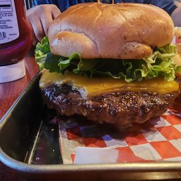 This is the basic cheese burger its huge . And fries are great as well .