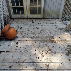 Harris Pressure Washing - Deck before