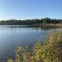 Beck Lake Forest Preserve