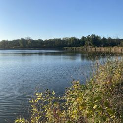 Beck Lake Forest Preserve - Lake fishing