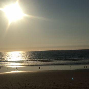 Venice Statepark - Beaches Near Me - Venice, California Venice Statepark - Beaches Near Me - Venice, California
