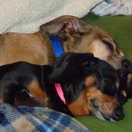 Samantha Ann  & Samson James