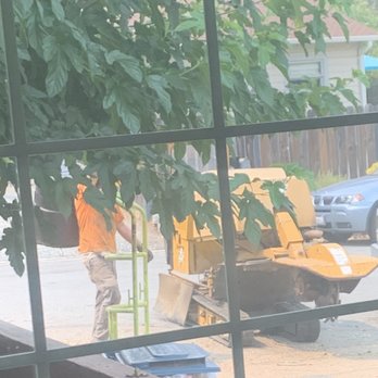 Mathers Tree Service - Tree Services Near Me Mathers Tree Service - Tree Services Near Me