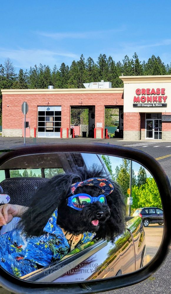 GREASE MONKEY Updated August 2024 14 Reviews 12710 US 395, Spokane, Washington Auto