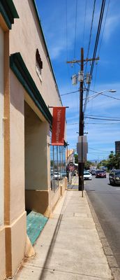 Native Intelligence by null