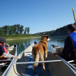Edmonton Canoe - Summer fun outdoors, even for dogs