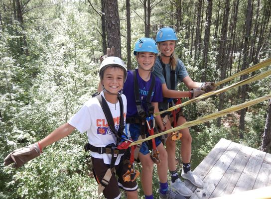 Charleston Adventure Forest by null