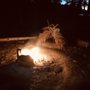 Photo of Survival Training And Outdoor Preparation