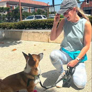 Shay’s Way Dog Training - Pet Training Near Me Shay’s Way Dog Training - Pet Training Near Me