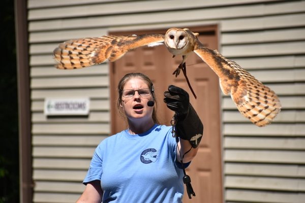 Exciting Shows! - Are you looking for something fun to do this weekend? Then you should check out our 30 minute free flying bird program, World of Wings (WOW!) show at 1:00 on Friday, Saturday, and Sunday! These exciting shows feature several of our ambassador birds and are included in the price of admission.