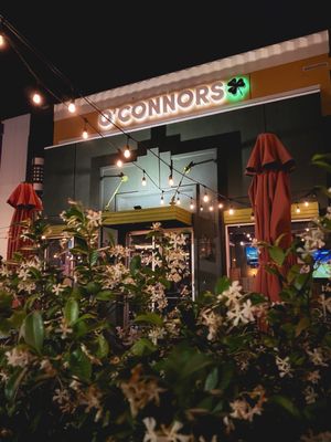Hugh O'Connors by null