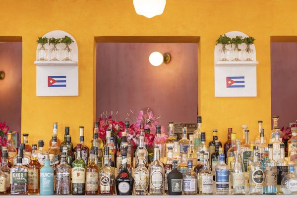 Long Weekend by null