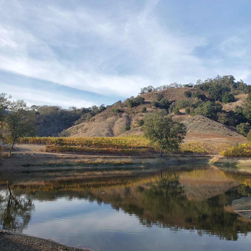 Martin Ranch Winery - Picnic at the pond on the property - Wineries Near Me - Gilroy, California