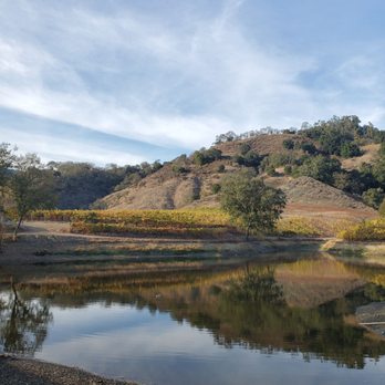 Martin Ranch Winery - Picnic at the pond on the property - Wineries Near Me - Gilroy, California