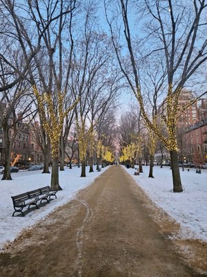 Newbury St by null