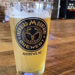 Snowbird Mountains Brewery - Pint of the "Blood Orange"