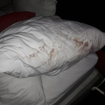 Ramada by Wyndham Luling - Murder scene pillows - Hotels Near Me - Luling, Louisiana Ramada by Wyndham Luling - Murder scene pillows - Hotels Near Me - Luling, Louisiana
