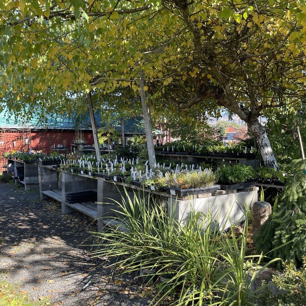 Southern Oregon Nursery - The young ones @ Southern Oregon Nursery. - Nurseries & Gardening Near Me - Medford, Oregon Southern Oregon Nursery - The young ones @ Southern Oregon Nursery. - Nurseries & Gardening Near Me - Medford, Oregon
