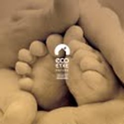 Ecoetxe