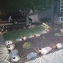 Photo of Ollie's Lawn Care