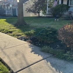 Estrada's Tree Service and Landscape