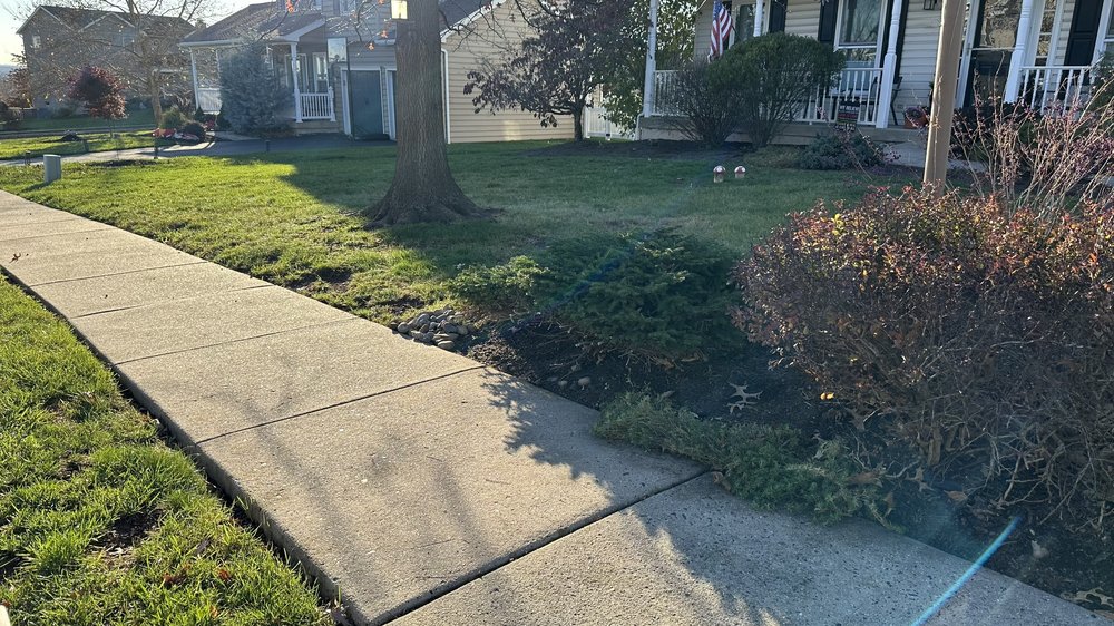 ESTRADAS TREE & LANDSCAPE SERVICES CORP
