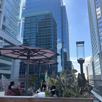 Aura Rooftop - Cocktail Bars Near Me - Charlotte, North Carolina