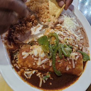 El Camino's - Chicken enchilada plate - Mexican Near Me - Brandenburg, Kentucky El Camino's - Chicken enchilada plate - Mexican Near Me - Brandenburg, Kentucky