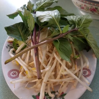 Pho Nam - Platter of bean sprouts, basil leaves, lime slices, and jalapeno slices that comes with noodle soups - Vietnamese Near Me - Sunnyvale, California Pho Nam - Platter of bean sprouts, basil leaves, lime slices, and jalapeno slices that comes with noodle soups - Vietnamese Near Me - Sunnyvale, California