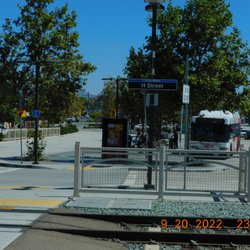 Taking the blue either to UTC or San Ysidro you can always get to busses that are there and get you back home safely .