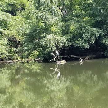 Central Park Conservancy - Parks Near Me - New York, New York