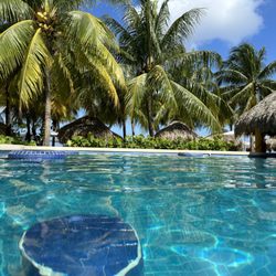 Travel By Cook - Mr. Sancho's Beach Club in Cozumel