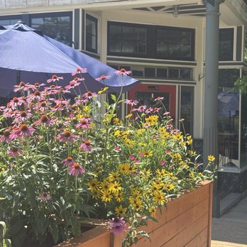 Kentzo Koffee - Patio Blooms - Breakfast & Brunch Near Me - Maplewood, Missouri