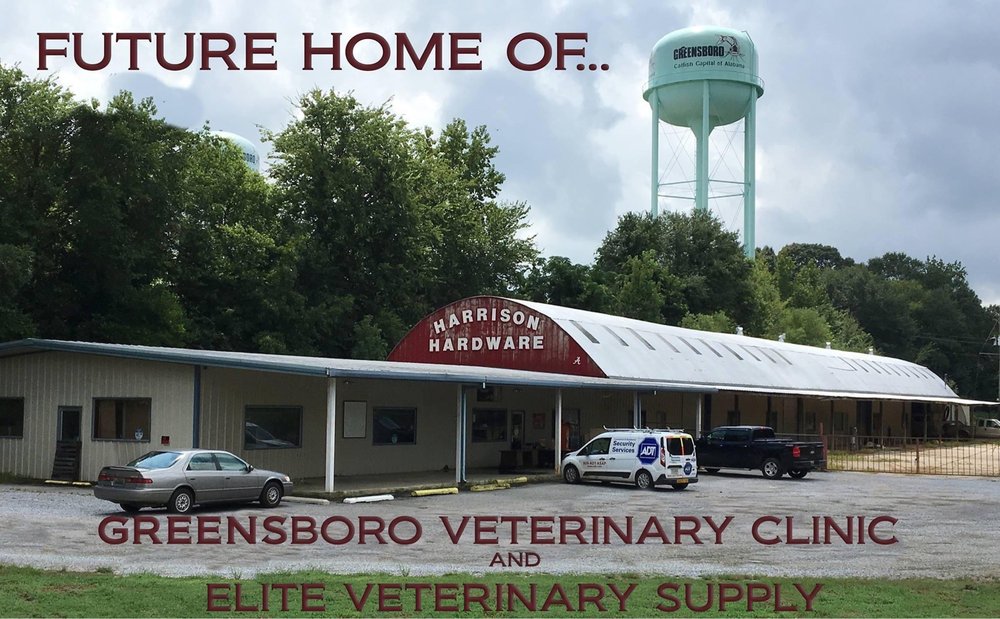 GREENSBORO VET CLINIC Updated May 2024 2201 State St, Greensboro