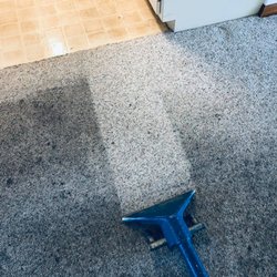 Blue Cat Carpet Cleaning