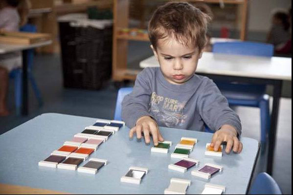 Wake Forest Montessori - childcare center in Wake Forest, NC