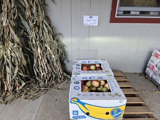 Foppema's Farm by null