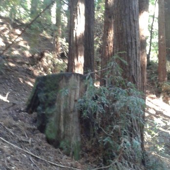 Thornewood Preserve - Parks Near Me - Woodside, California Thornewood Preserve - Parks Near Me - Woodside, California