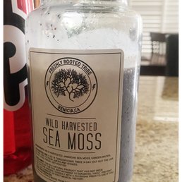 Blueberries, cup of almond milk and Freshly Rooted Tribes Sea Moss Blueberries, cup of almond milk and Freshly Rooted Tribes Sea Moss