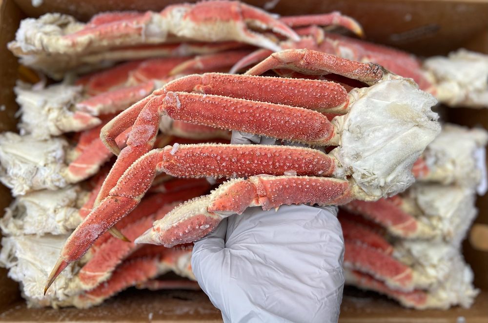 Kris'es Wholesale Seafood Logo