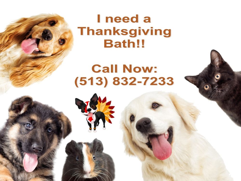 GREAT AMERICAN PET PARK Updated September 2024 11166 Deerfield Rd, Cincinnati, Ohio Pet