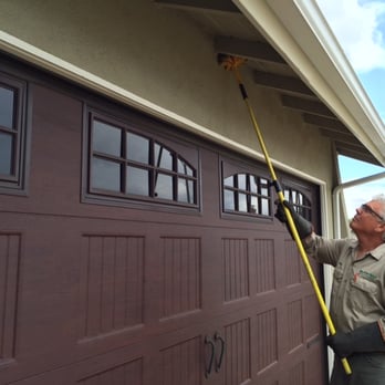 Major Pest Solutions - Web dusting - Pest Control Near Me Major Pest Solutions - Web dusting - Pest Control Near Me
