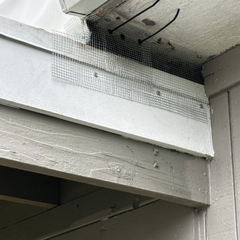 Accomplish Pest Control - Squirrel exclusion work.. - Pest Control Near Me Accomplish Pest Control - Squirrel exclusion work.. - Pest Control Near Me