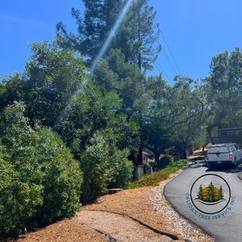 Calioax Tree Service - Pine Tree Removal
Scotts Valley. - Tree Services Near Me - Los Gatos, California Calioax Tree Service - Pine Tree Removal
Scotts Valley. - Tree Services Near Me - Los Gatos, California