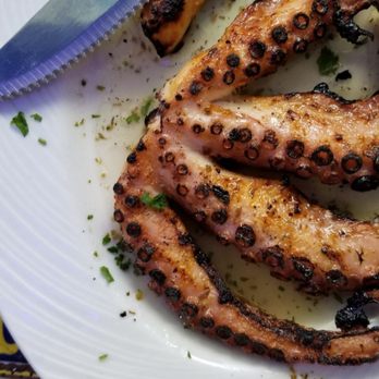 Hellas Restaurant - Gorgeous grilled octopus at Hellas - Bakeries Near Me - Tarpon Springs, Florida