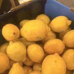 Goldberg Jones - Divorce for Men - Make some lemonade with the lemons you get in life.