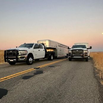 Overtime Equine - Pet Transportation Near Me Overtime Equine - Pet Transportation Near Me