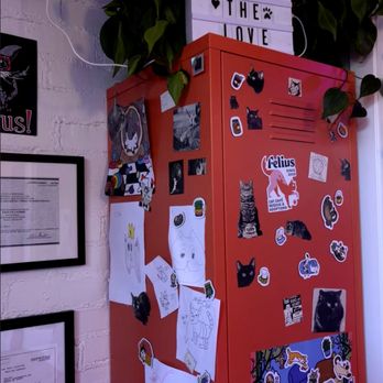 Felius Cat Café & Rescue - Pet Adoption Near Me - Omaha, Nebraska Felius Cat Café & Rescue - Pet Adoption Near Me - Omaha, Nebraska