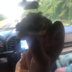 McDonald's - Meat hot cheese melt. Good eats