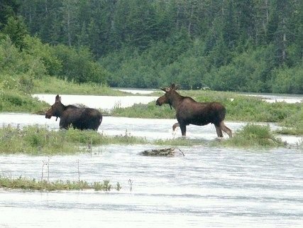 Alaska Peak & Seas by null